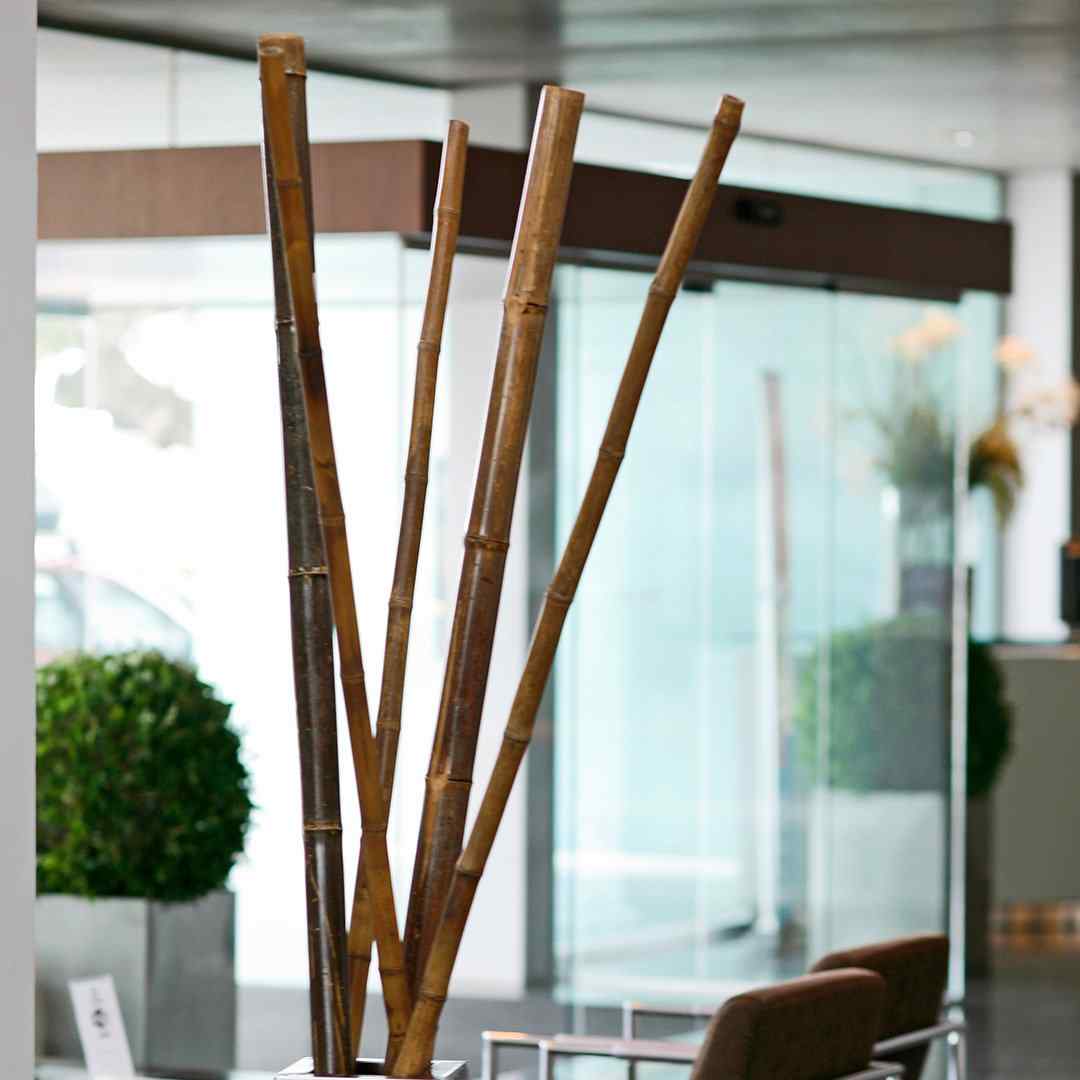 Decorar con cañas de bambú natural en interior y exterior