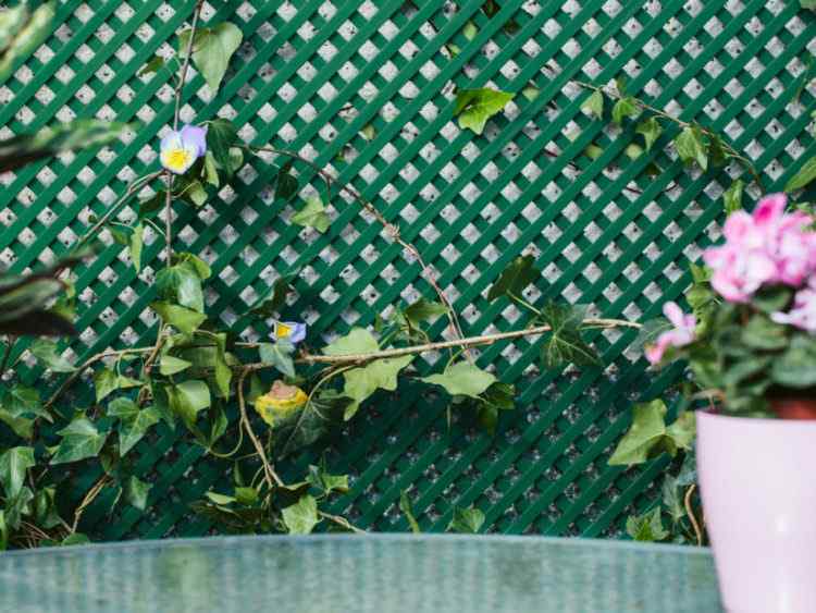 CELOSÍA PVC 48MM VERDE – Tu marca de Jardín, Cultivo y Decoración