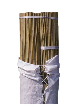 Tutores de Bambú Ø 10-12mm - 200cm