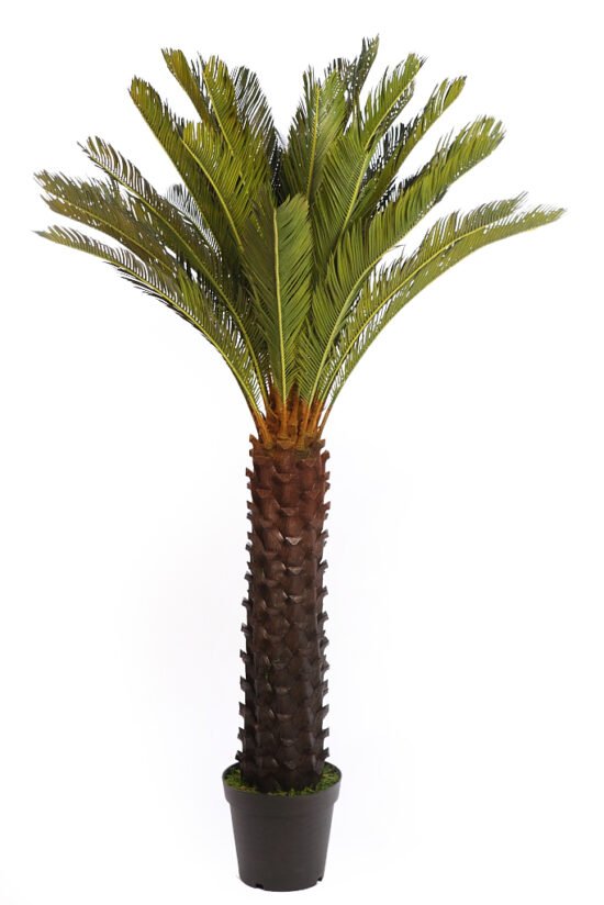 Palmera Artificial Canelilla Altura 150 cm - Jardinería ALLGrass