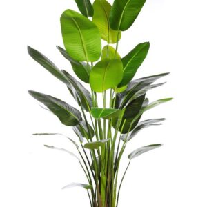 Plantas artificiales altas, plantas palmiformes artificiales grandes,  plantas artificiales en maceta realistas para decoración del hogar, granja