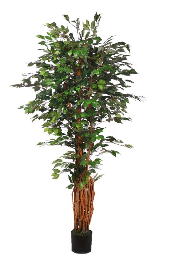 Árbol de Ficus Artificial 145 cm - Jardinería ALLGrass