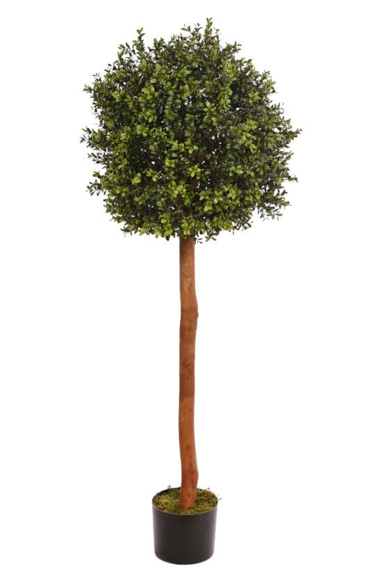 Ficus, árbol artificial con troncos naturales, fabricado con los mejor -  VIRTUAL MUEBLES