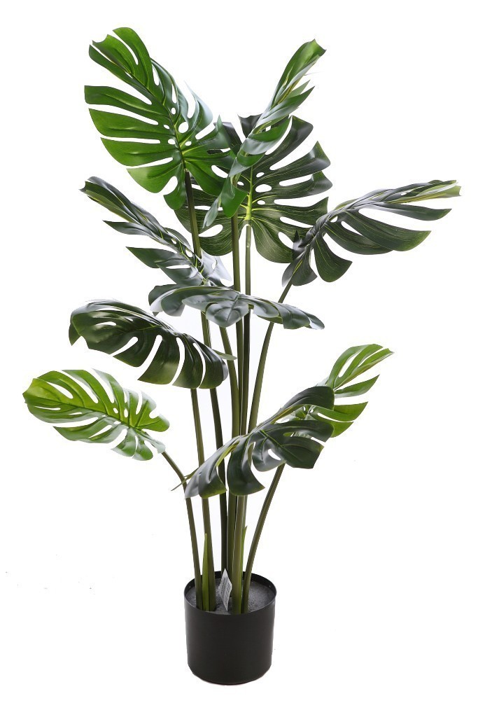 Planta Fitonia Colgante Artificial 130 cm - Tienda Jardinería ALLGrass