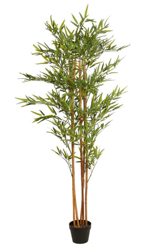 Bambú Artificial de Buda 160 cm - Decoración ALLGrass